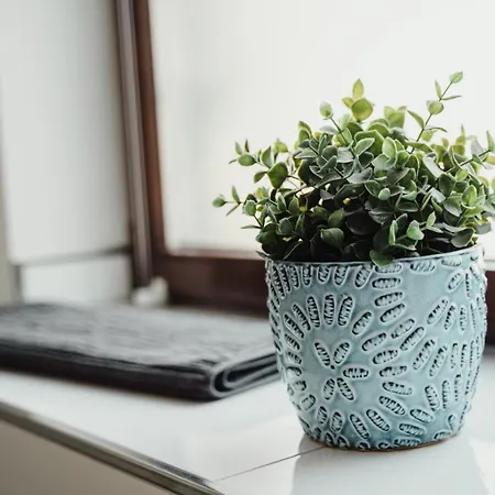 I Gemütliches 1-zimmer-apartment&eigenes Bad I * Coblenza