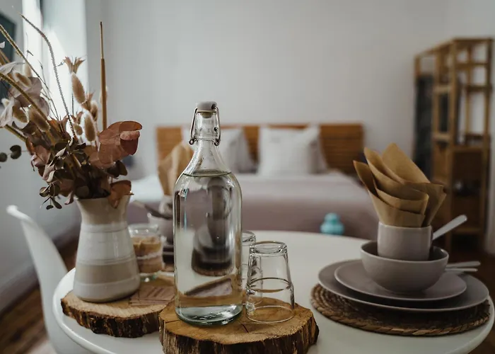 Apartment I Gemuetliches 1-zimmer-apartment & Eigenes Bad I Koblenz (Rhineland-Palatinate)