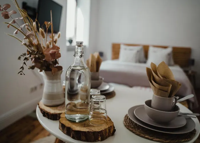 Apartment I Gemuetliches 1-zimmer-apartment & Eigenes Bad I Koblenz (Rhineland-Palatinate)